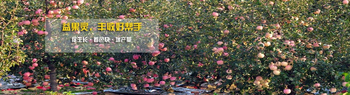 新聞動態(tài) 新聞動態(tài)